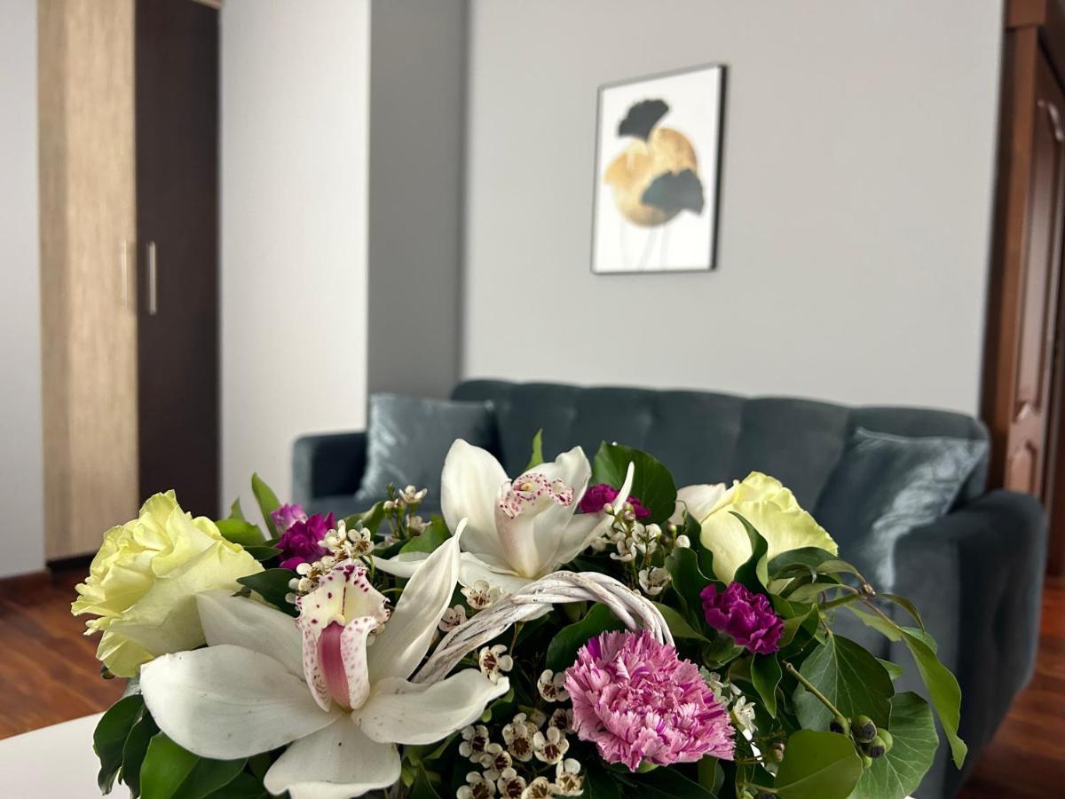Mala Italia Apartments Wrocław Eksteriør billede